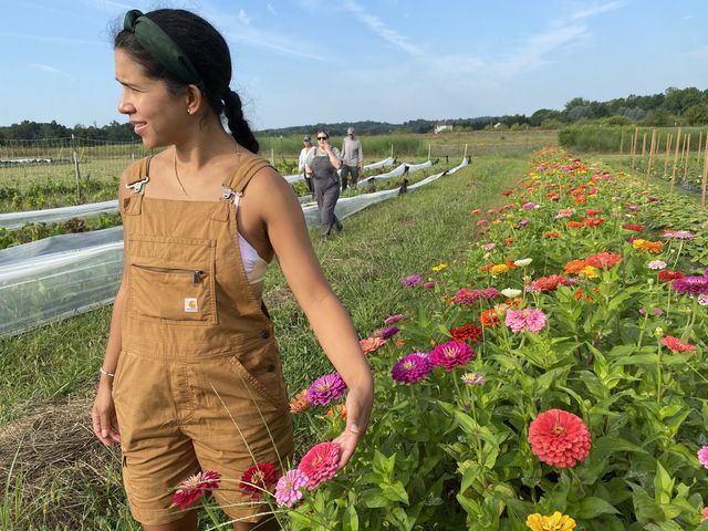 Natasha Luccia, 34, looks at the bright colors of the zinnia flowers on a one-acre plot in Cream Ridge.